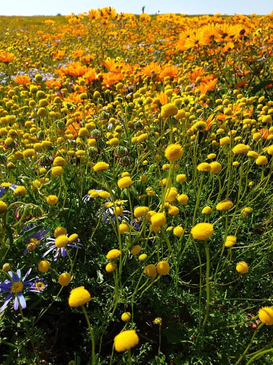 Namaqualand Eco Lodge Soebatsfontein Екстериор снимка