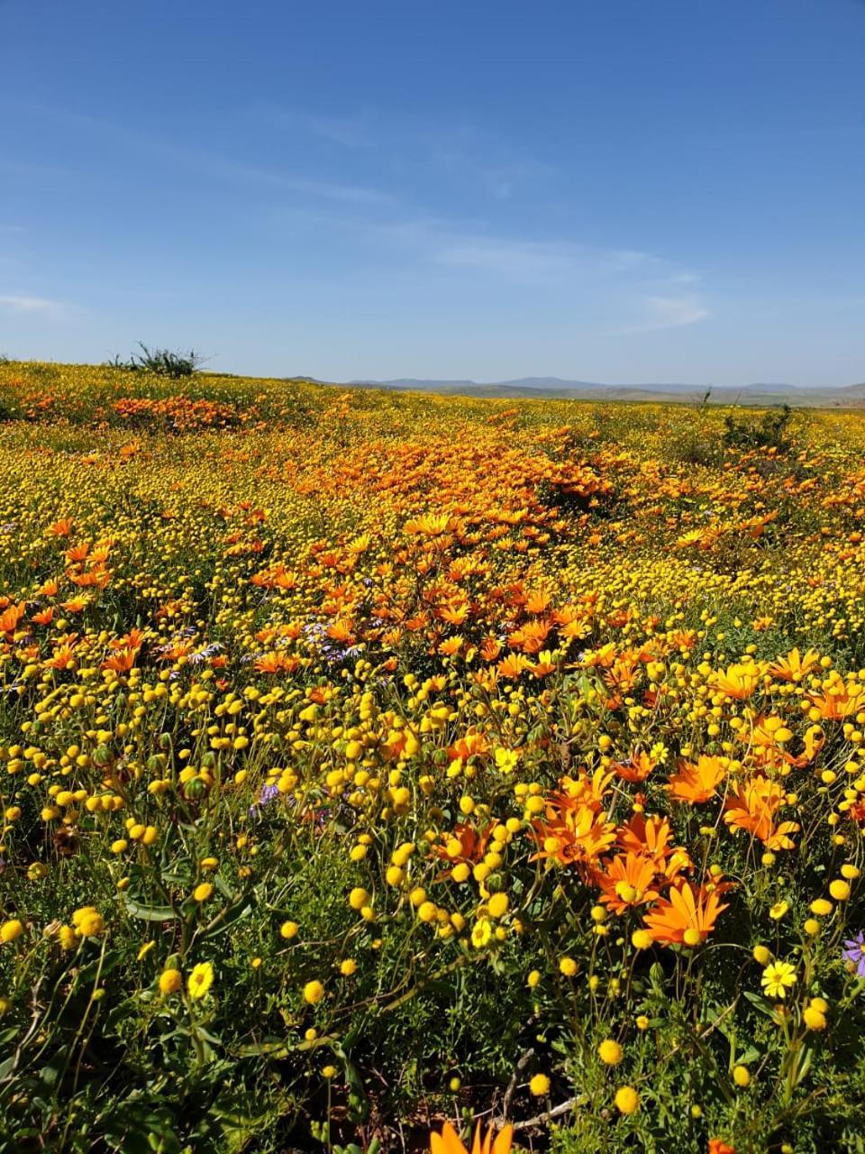 Namaqualand Eco Lodge Soebatsfontein Екстериор снимка